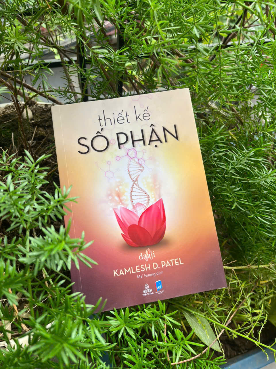 Giới thiệu sách hay: Thiết kế số phận 